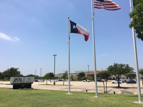 Texas & American Flag